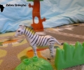 afrika-zebra