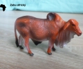 afrika-zebu